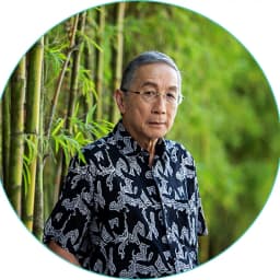 Professor Tikki Pangestu